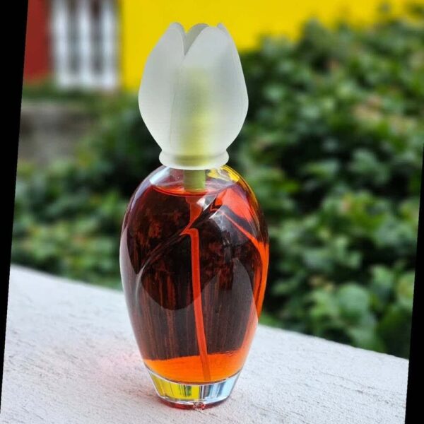 قیمت و خرید عطر کلوهه نارسیس