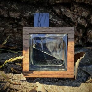 قیمت خرید عطر دسکوارد2 هی وود