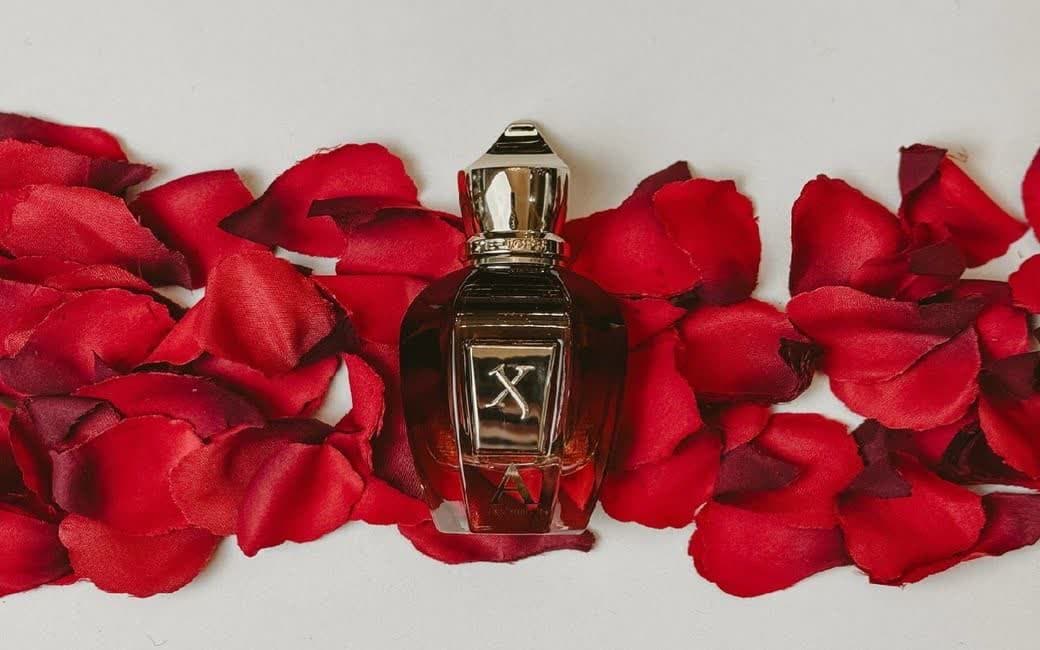 قیمت و خرید عطر XERJOFF- Alexandria II